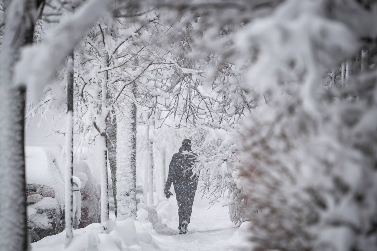Un hiver clément, mais une vague de froid en attendant | JDM