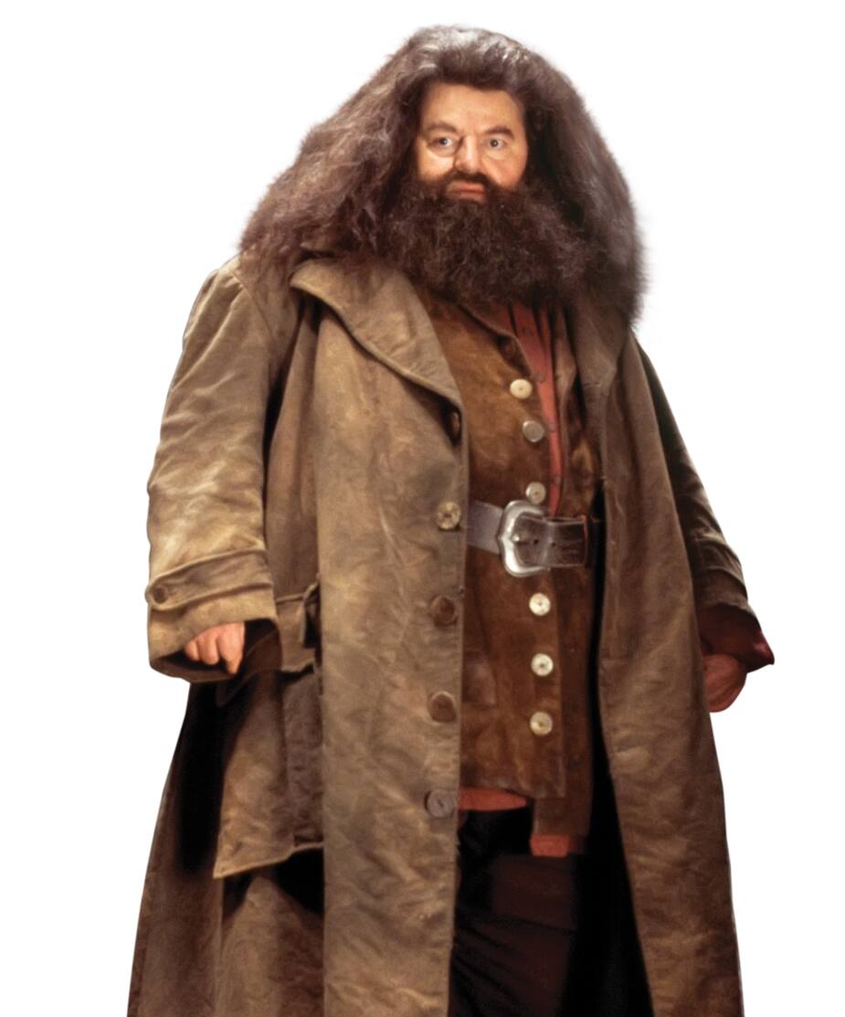 Image principale de l'article Hagrid nous a quittés