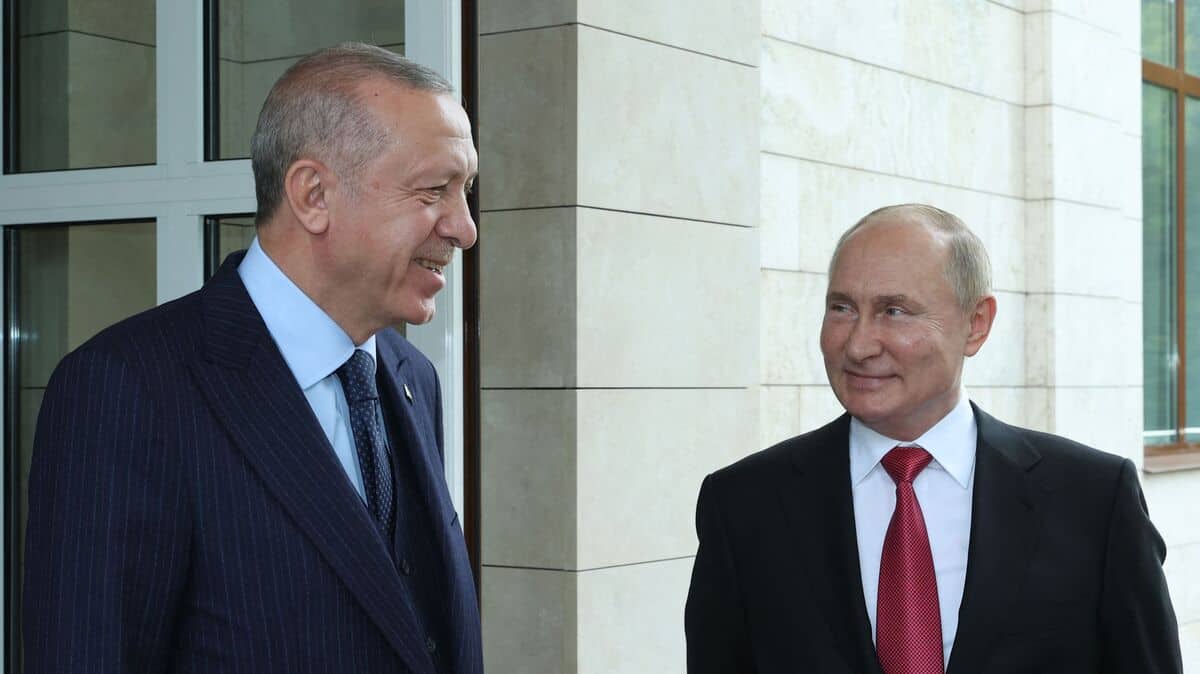 Erdogan may offer Putin mediation with Ukraine Erdogan may offer Putin mediation with Ukraine