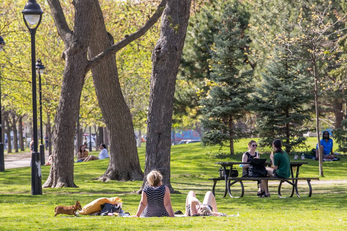 M&eacute;t&eacute;o du jour: d&eacute;but de semaine ensoleill&eacute; dans le sud du Qu&eacute;bec
