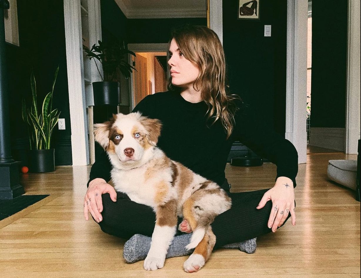 Ces vedettes qui ont adopté un berger australien