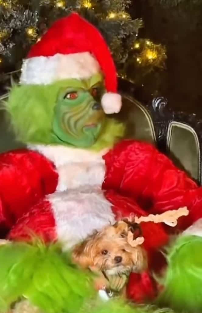 Clochard | Disney Wiki | Fandom, image size:925x1432