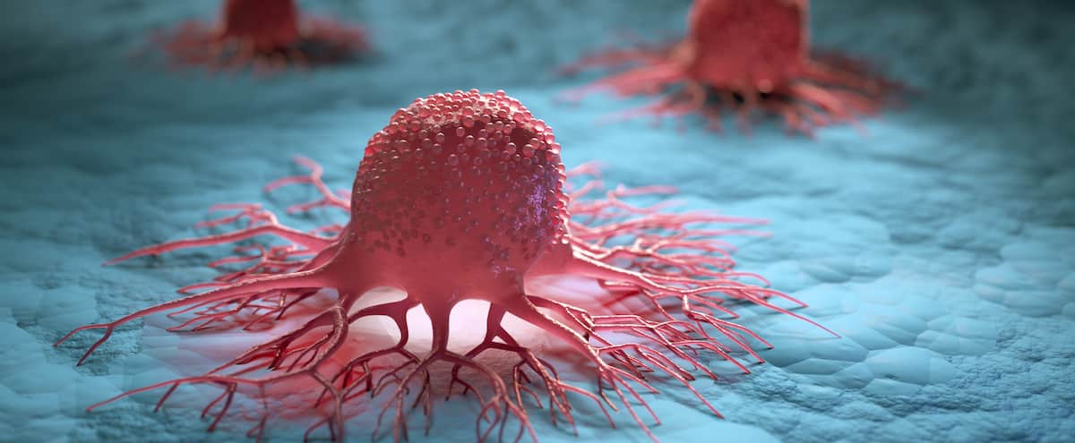 British doctors offer pioneering treatment for a form of leukaemia British doctors offer pioneering treatment for a form of leukaemia