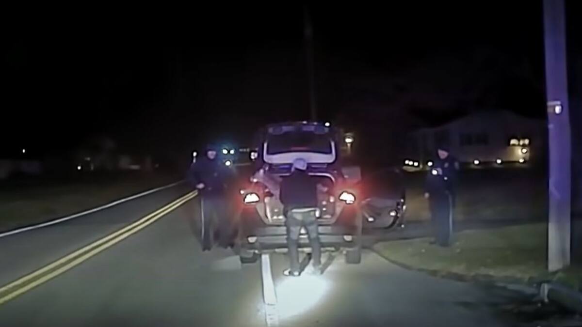 Elle roule avec un chevreuil vivant dans son coffre