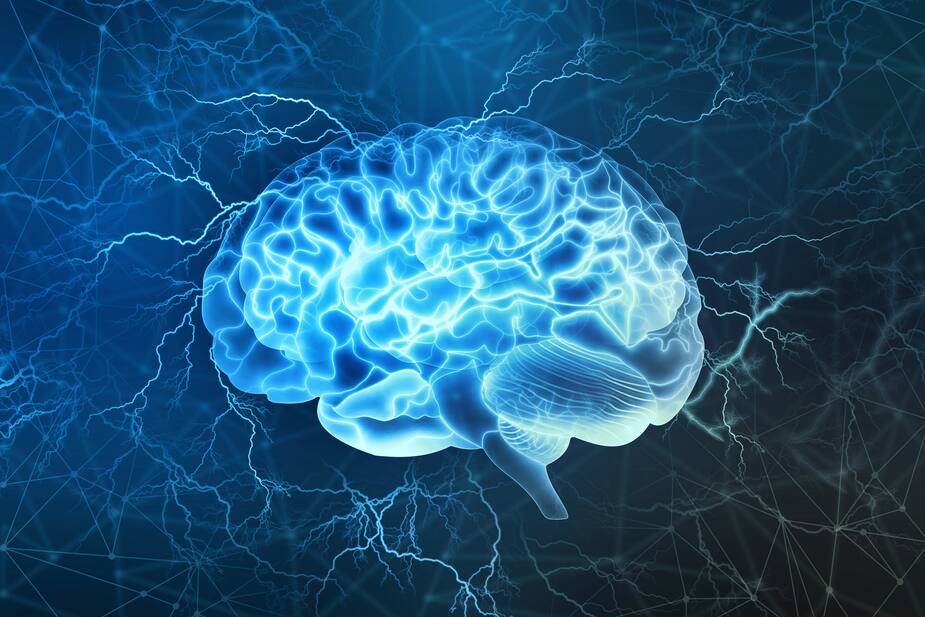 Image principale de l'article Des traces de COVID détectées dans le cerveau