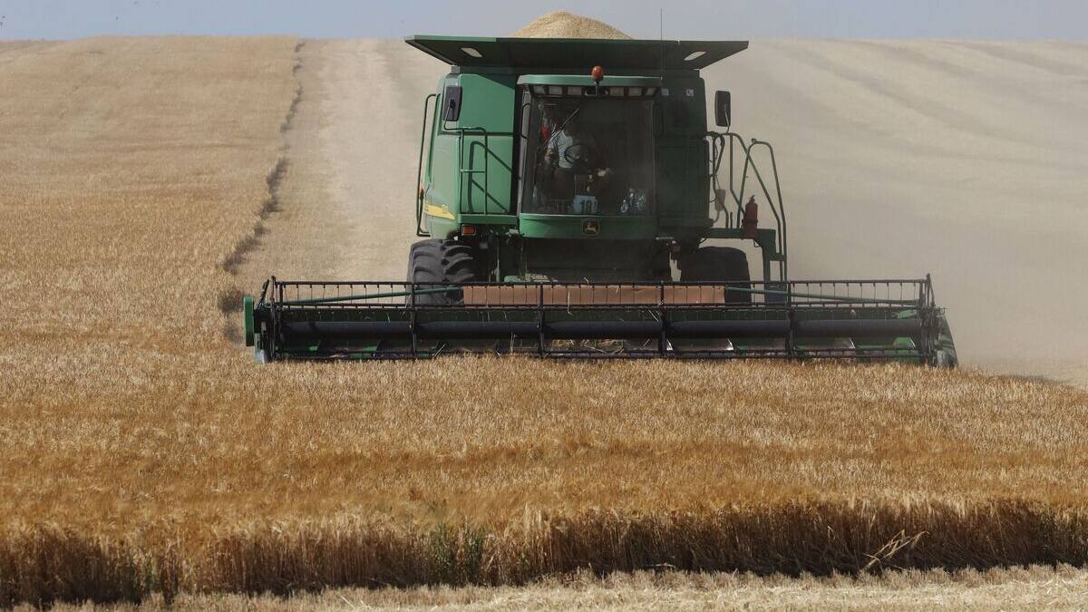 La France a acheminé 31 tonnes de semences vers l'Ukraine