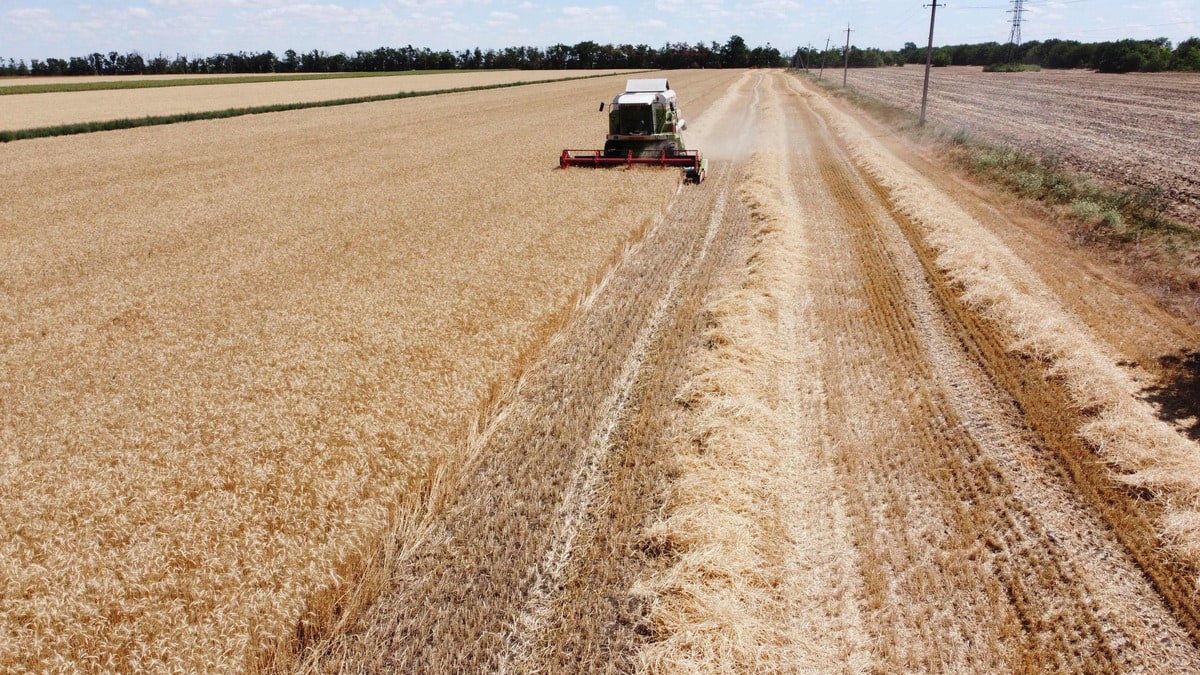 Accord sur l&rsquo;exportation des c&eacute;r&eacute;ales en vue poursuite des bombardements