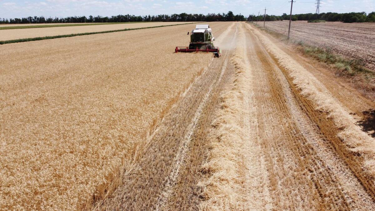 Accord sur l’exportation des céréales en vue poursuite des bombardements
