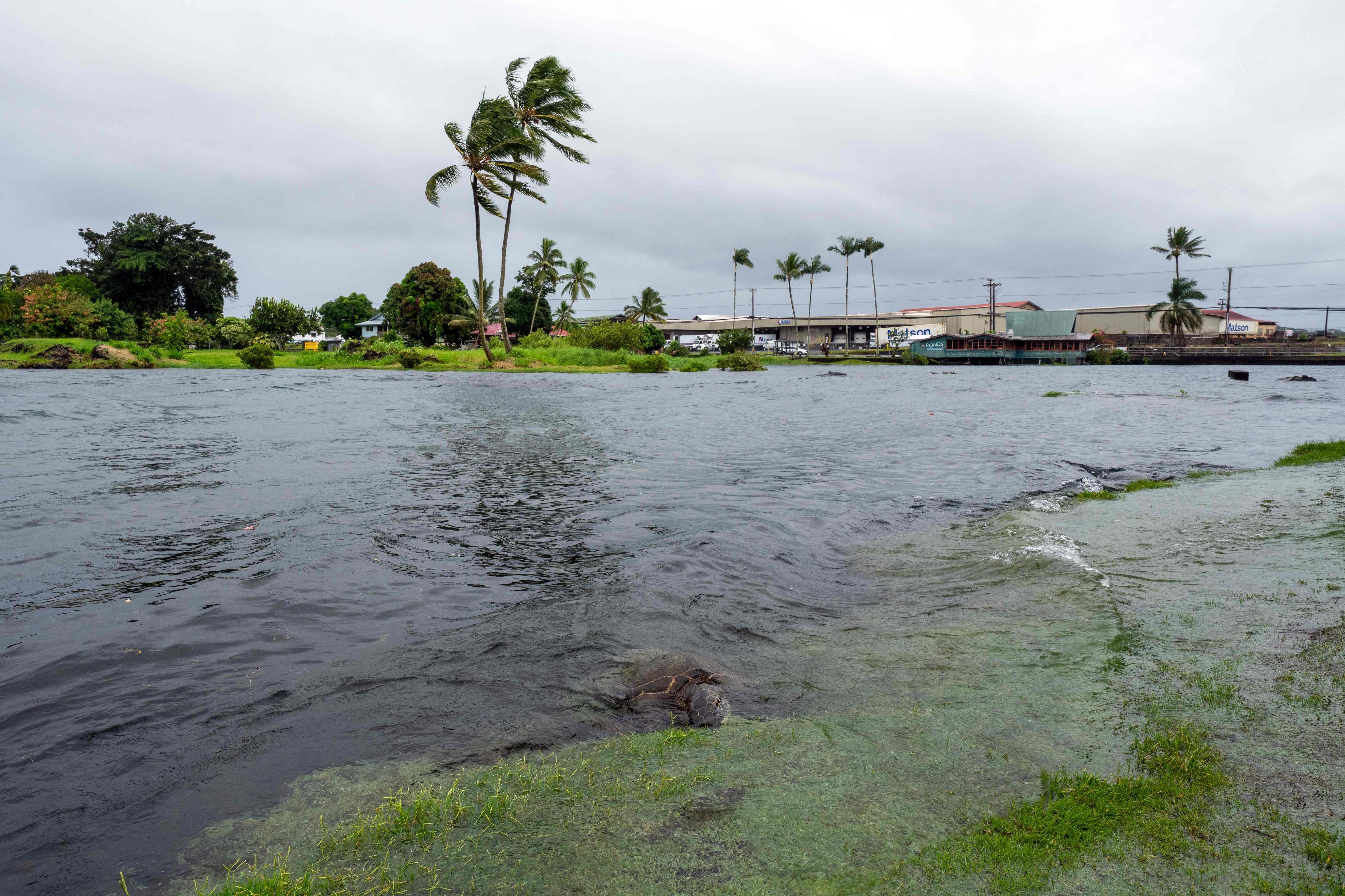 L'ouragan Lala provoque de fortes pluies et des pannes de courant à Hawaï