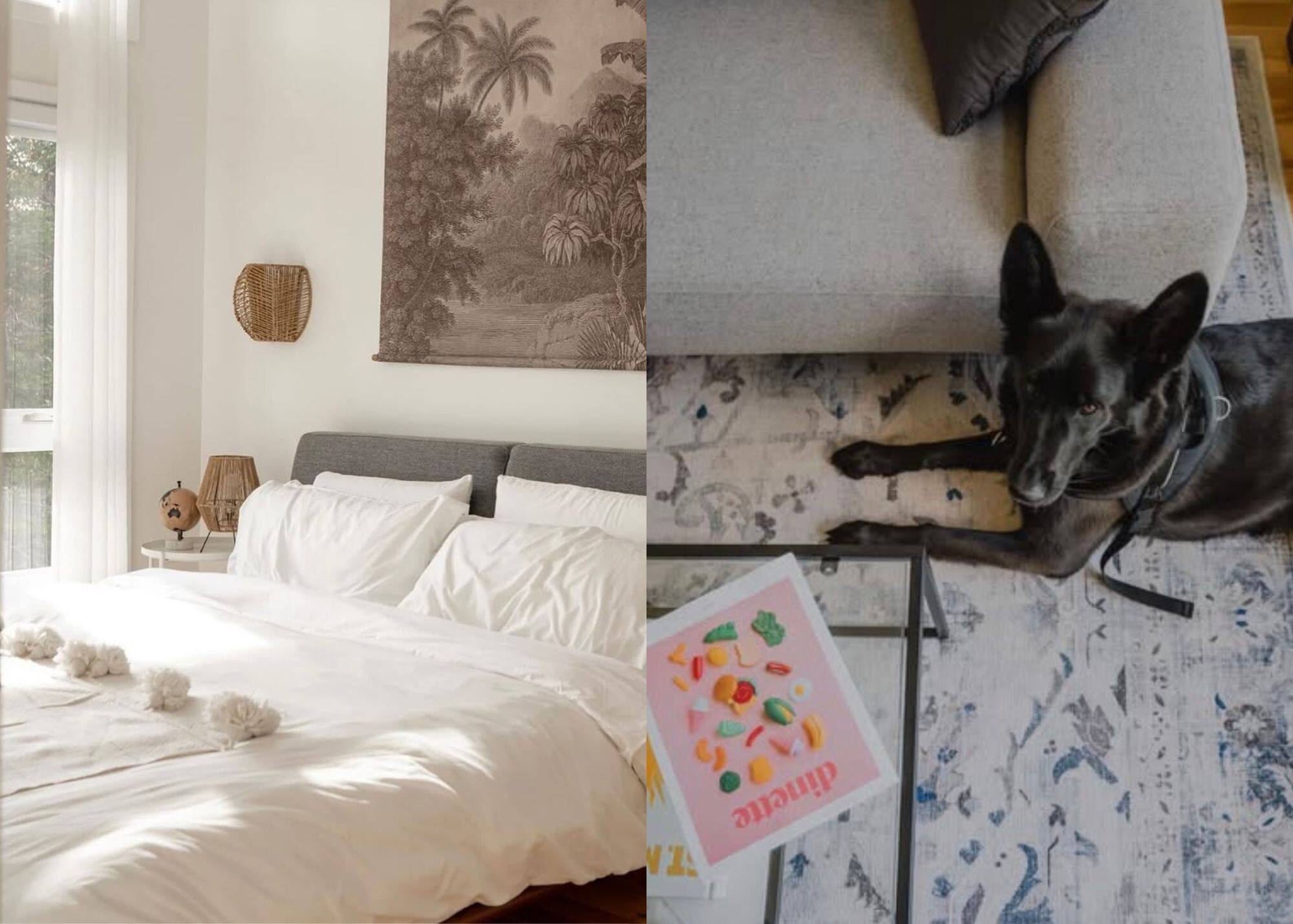 Des chalets pet-friendly avec spa à louer