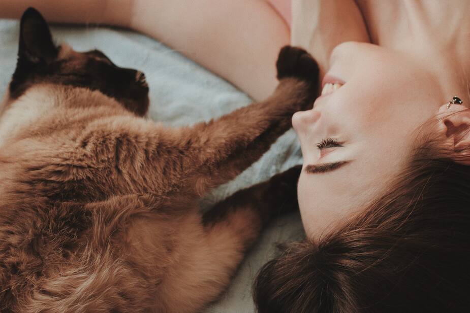 Image principale de l'article MeowTalk traduit les miaulements de votre chat