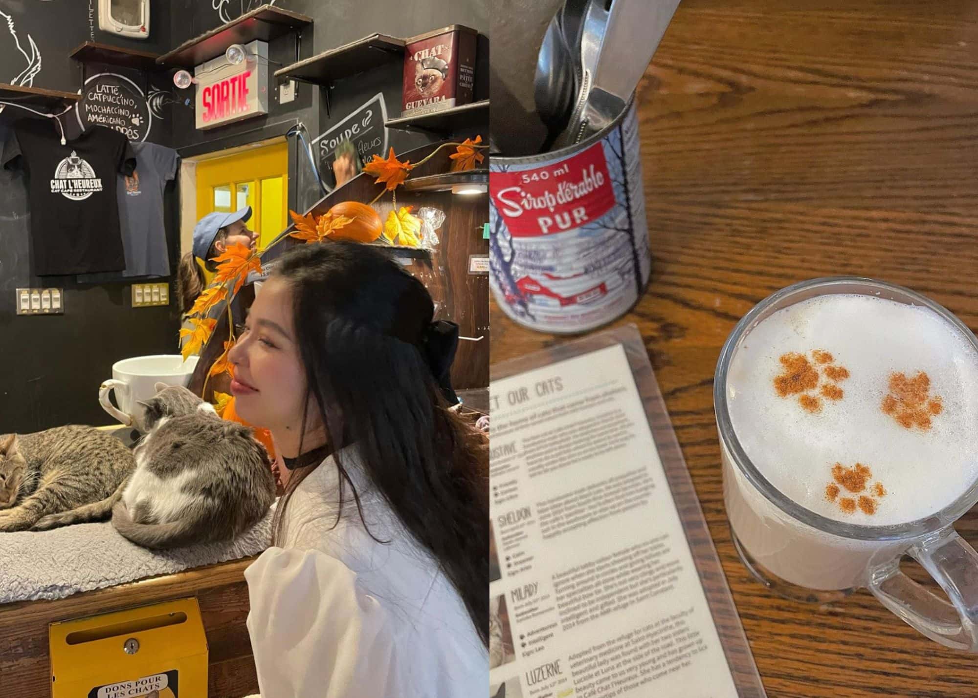 Le Café Chat l’Heureux ouvre une 2e succursale