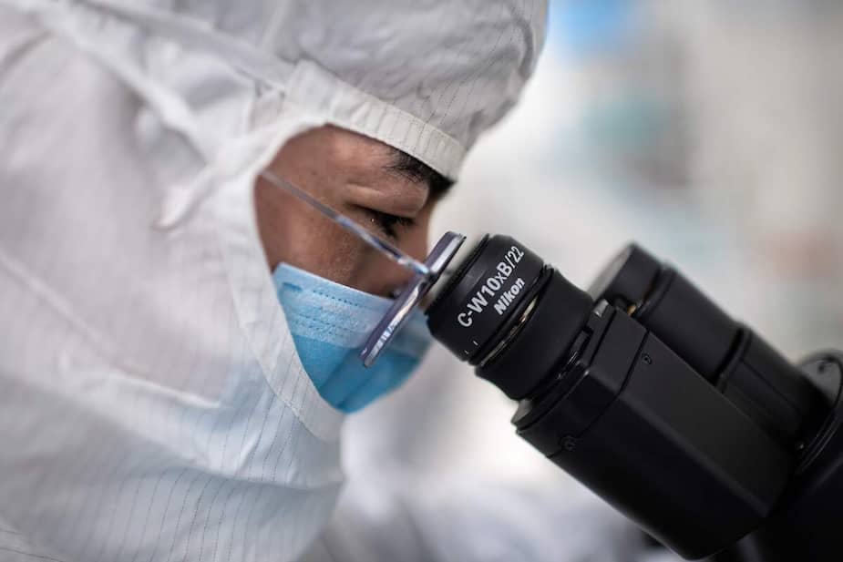 Image principale de l'article Un «virus zombie» vieux de 48 500 ans réveillé
