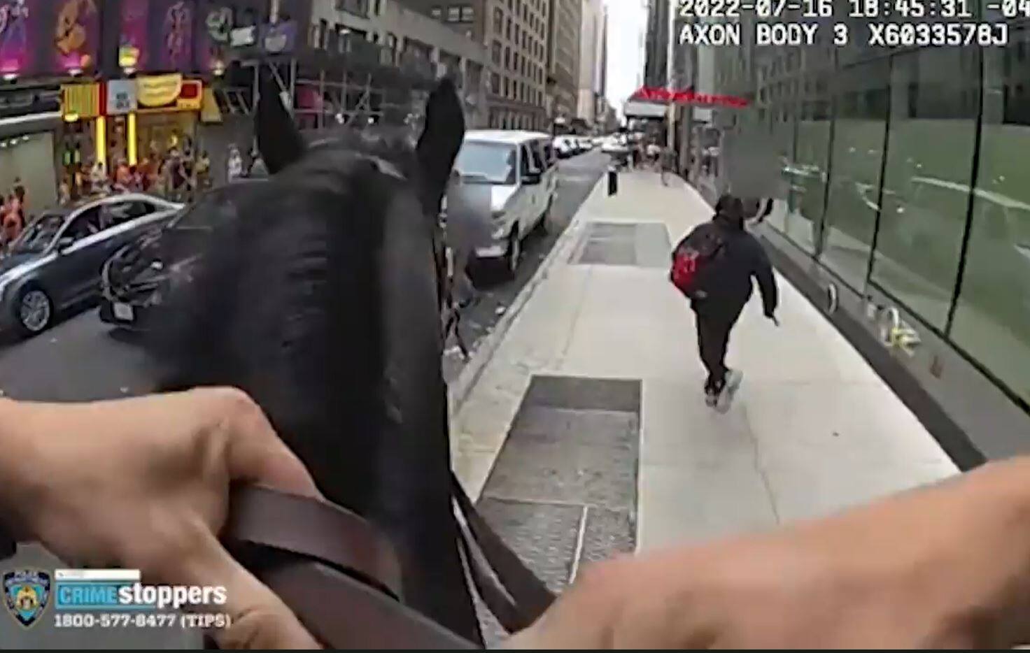 EN VID&Eacute;O | Un cheval de la police pourchasse un voleur de lunettes