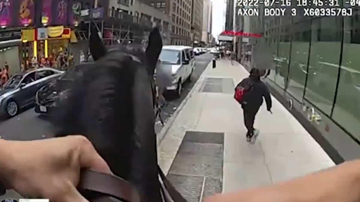 EN VIDÉO | Un cheval de la police pourchasse un voleur de lunettes