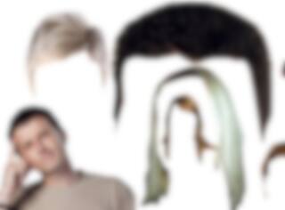 À quels académiciens appartiennent ces chevelures?