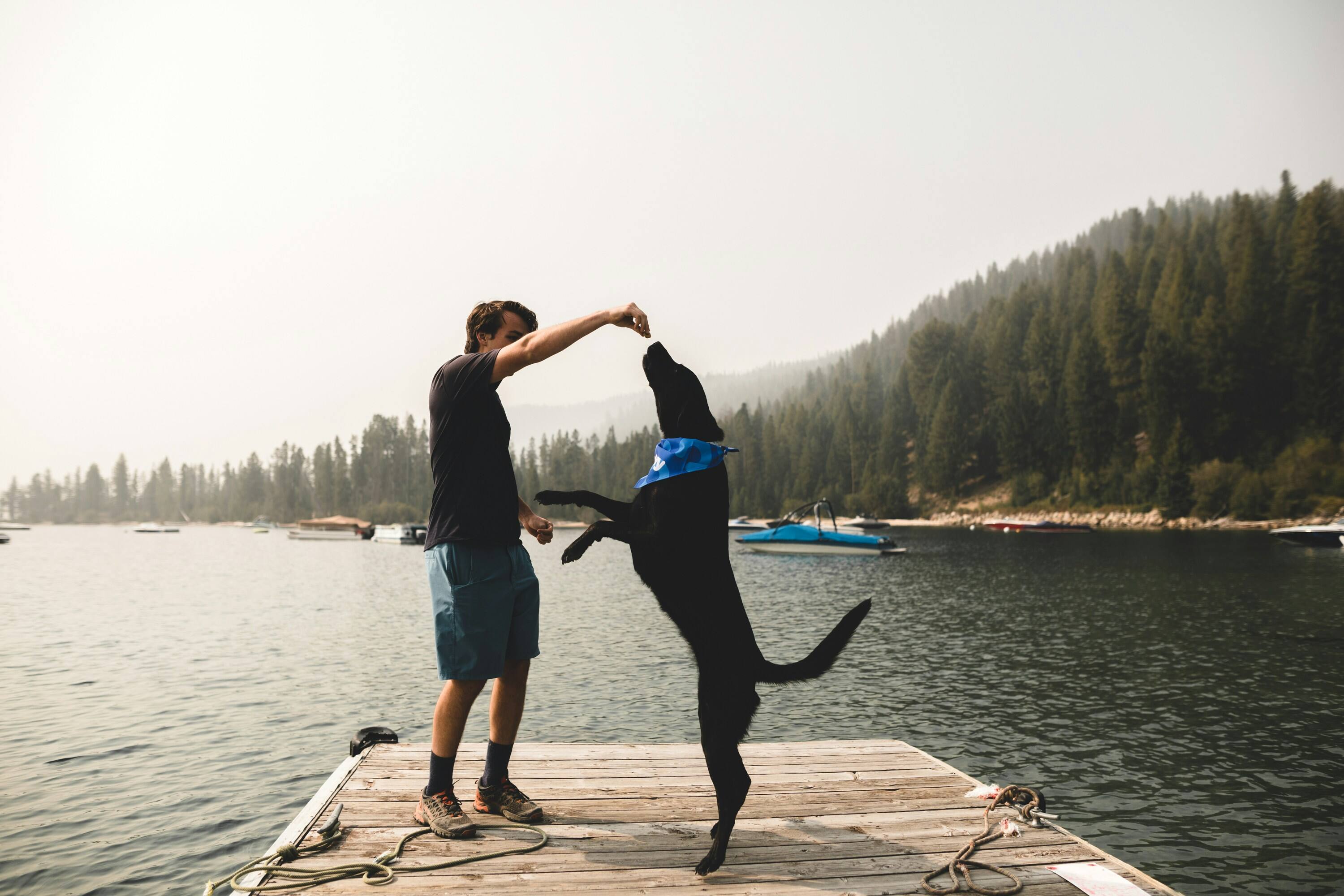 10 chalets à louer avec chiens au Québec