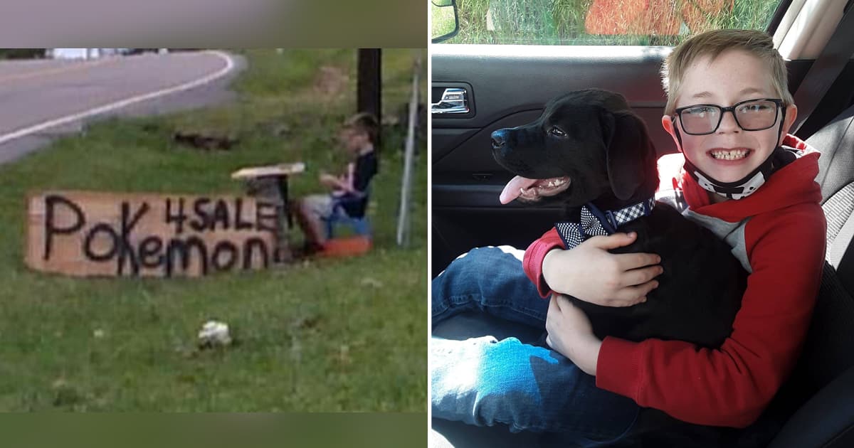 Un Garcon Vend Sa Collection De Cartes Pokemon Pour Sauver Son Chien Et Recoit Une Surprise De La Pokemon Company Pese Sur Start