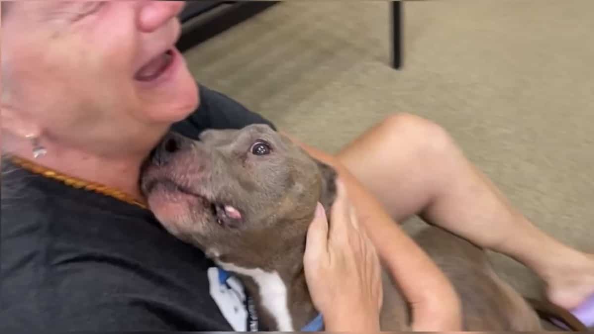 In pictures | She lost her dog…finds him 8 years later! In pictures | She lost her dog…finds him 8 years later!