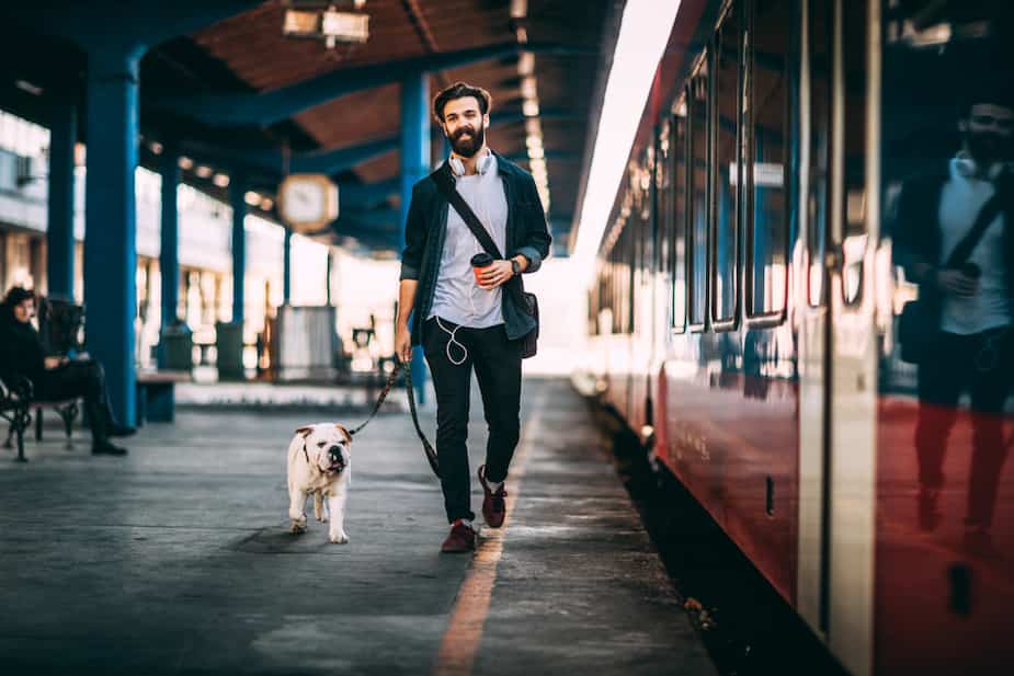 Image principale de l'article Les chiens pourront prendre le métro