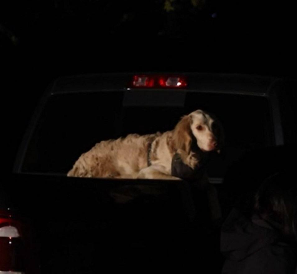 Le corps d&rsquo;un randonneur retrouv&eacute; avec son chien vivant &agrave; ses c&ocirc;t&eacute;s