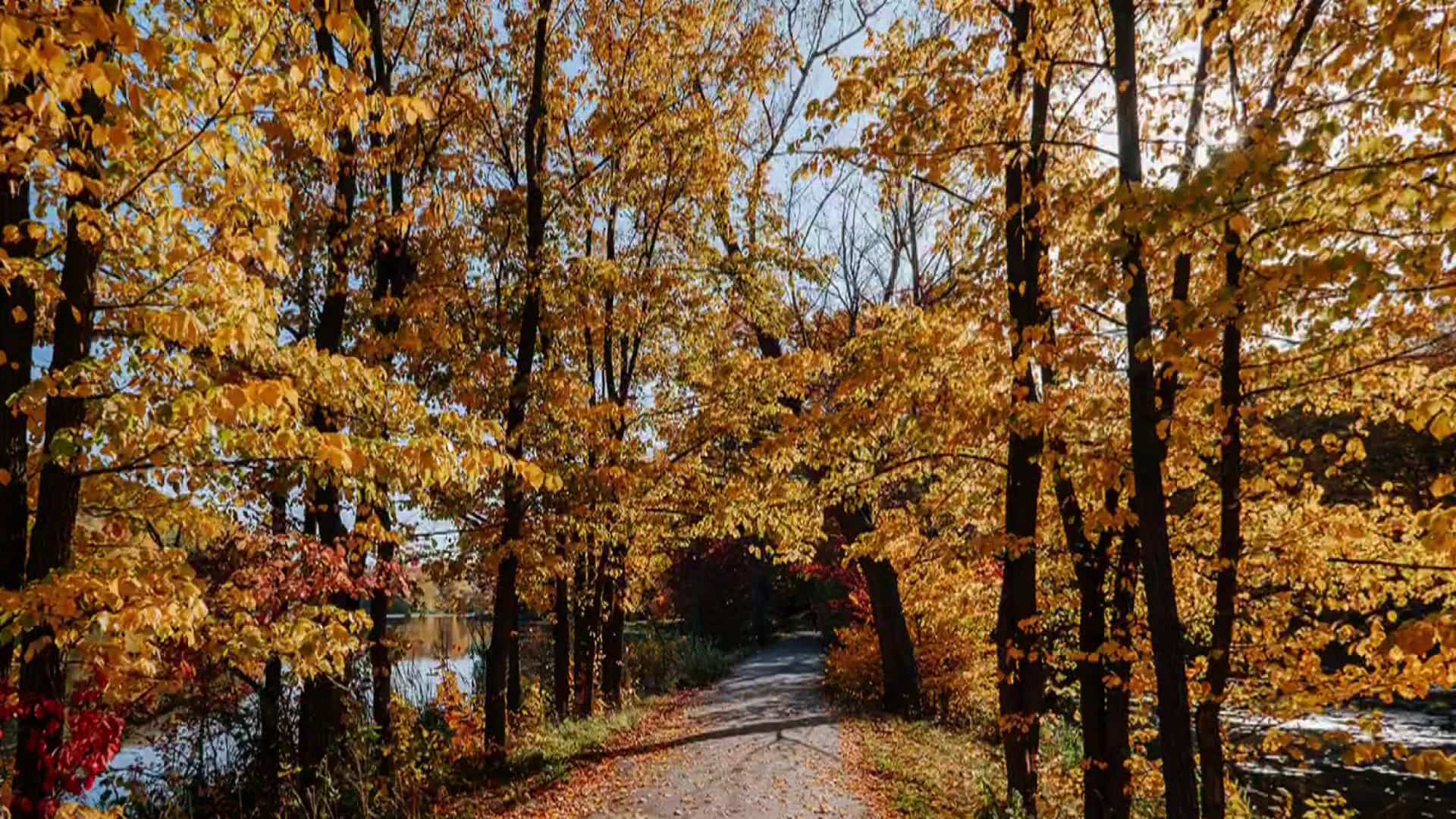 La chimie de l’automne! 