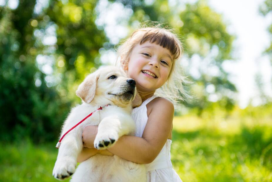 Image principale de l'article 10 preuves que vous êtes prêts à avoir un chiot