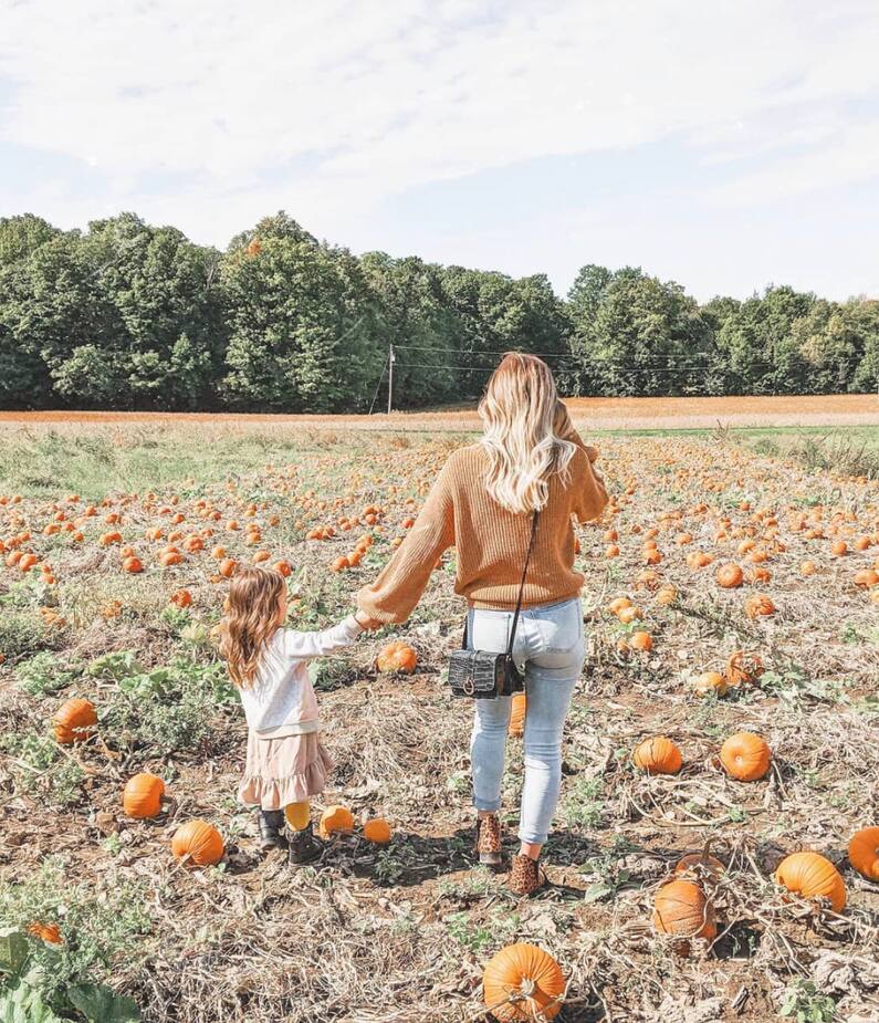Image principale de l'article Où aller cueillir vos citrouilles et courges