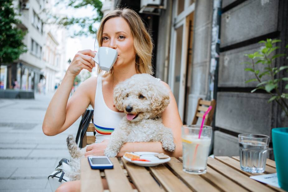 Image principale de l'article 21 cafés où les chiens sont rois