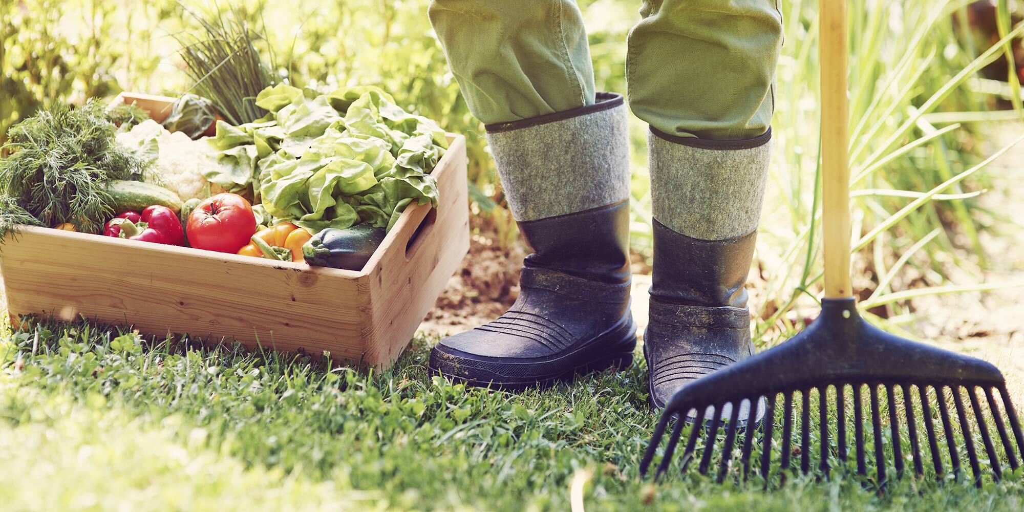 Jardin: 4 gestes à connaître absolument