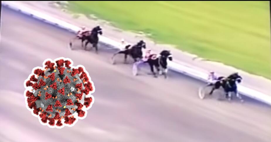 Image principale de l'article Une parodie virale mélange coronavirus et chevaux