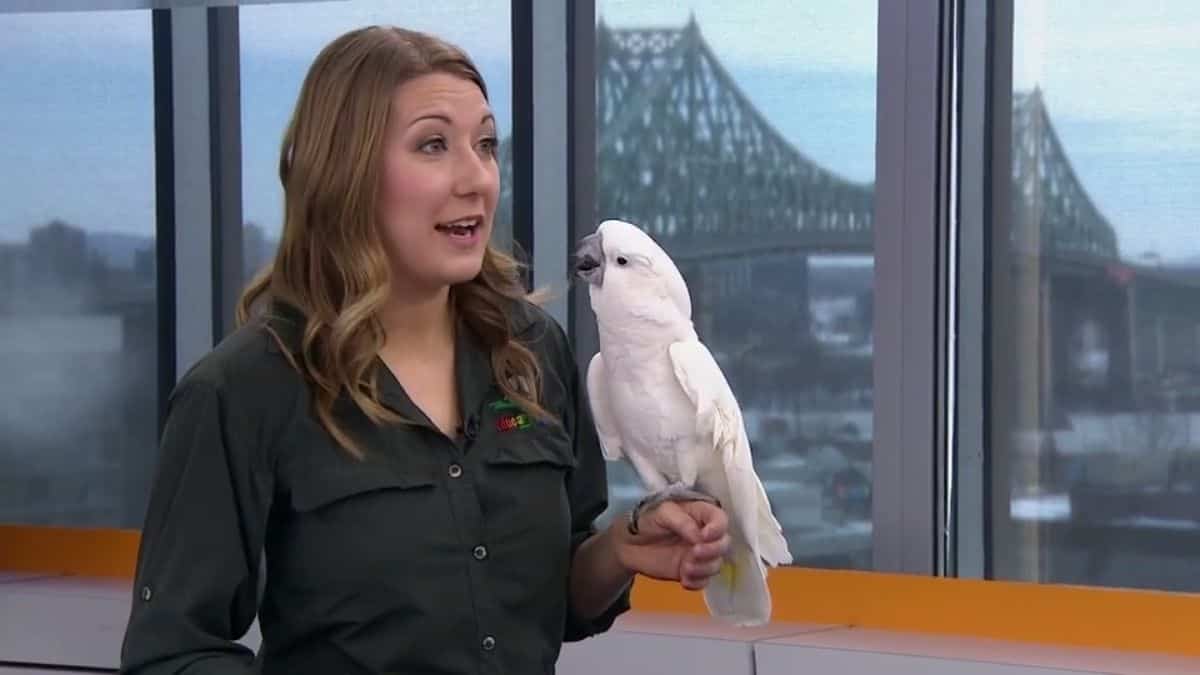 Joanie d'Éducazoo nous présente d'autres animaux