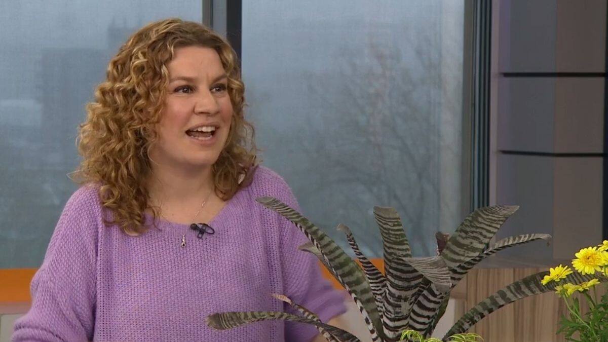 JARDINAGE: Quand acheter et quand planter?