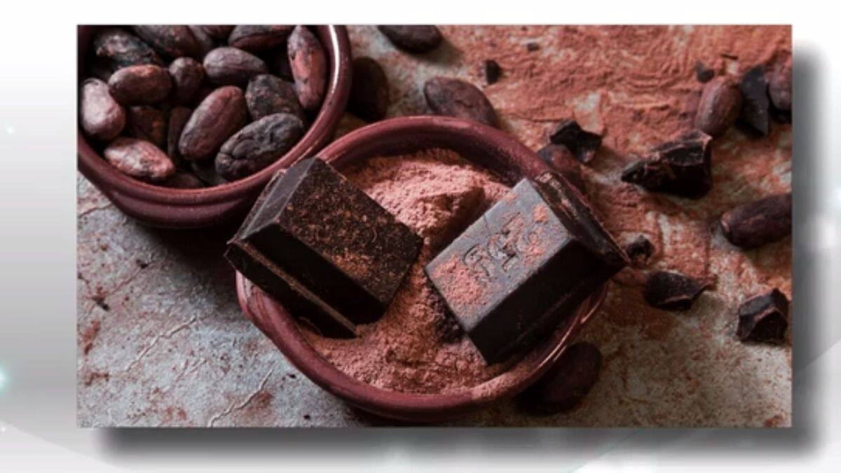 NUTRITION: Les bienfaits du cacao