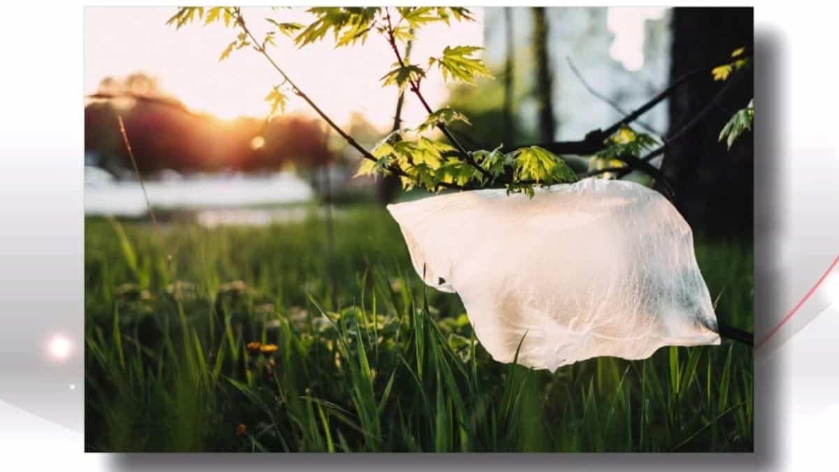 Comment réduire sa consommation de plastique?