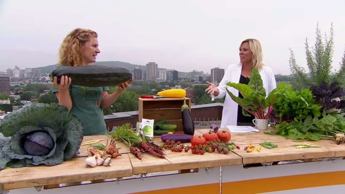 Comment maximiser les récoltes de légumes?