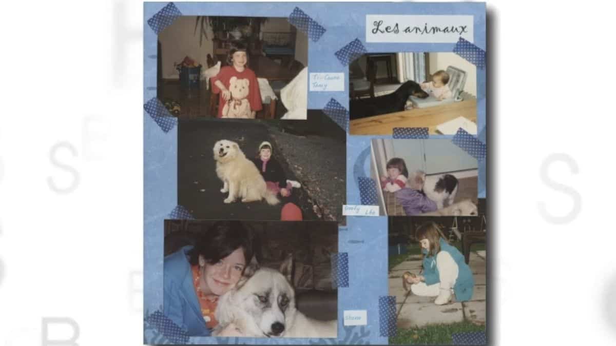 Les autres métiers de l'équipe Salut Bonjour