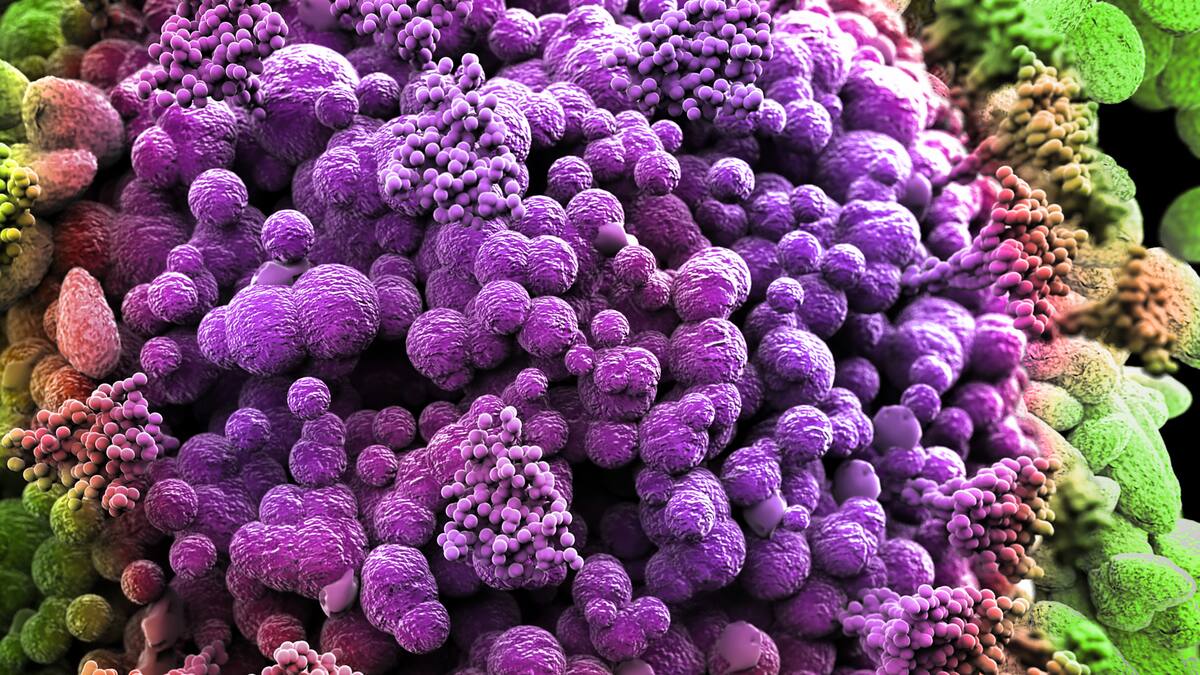 La Chine annonce son premier cas du variant Omicron