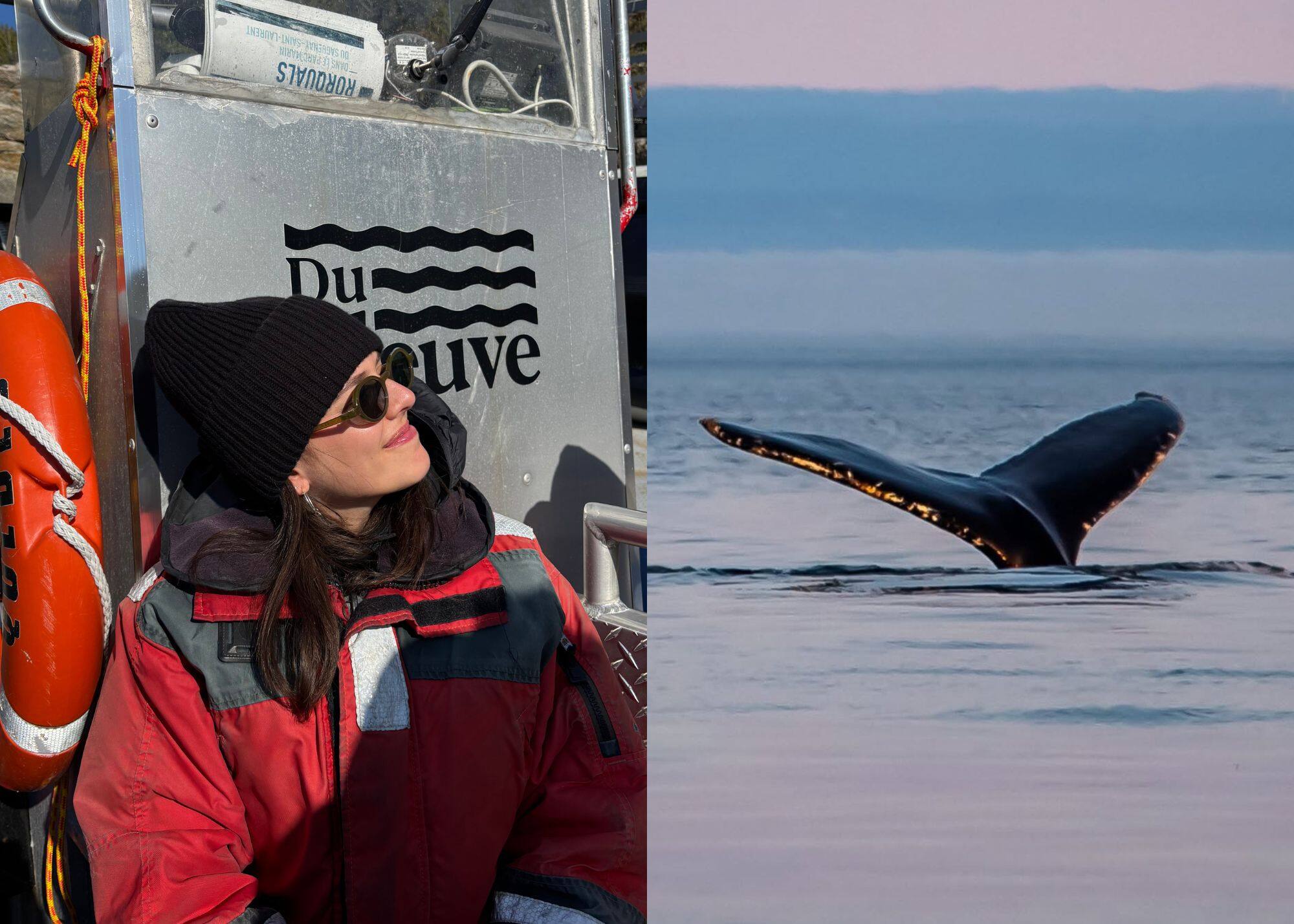 J'ai fait une croisière aux baleines et... WOW