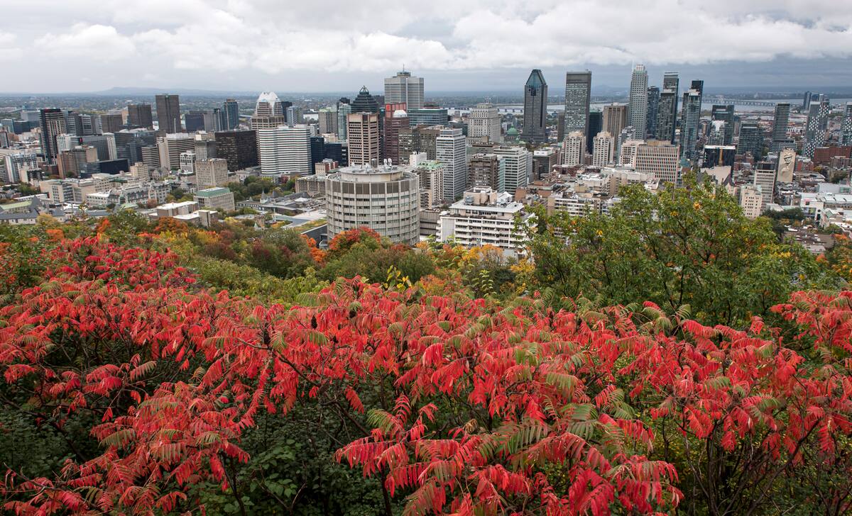 Plusieurs commerces et restaurants toujours ferm&eacute;s au centre-ville de Montr&eacute;al