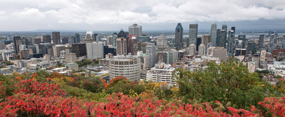 Plusieurs commerces et restaurants toujours fermés au centre-ville de Montréal
