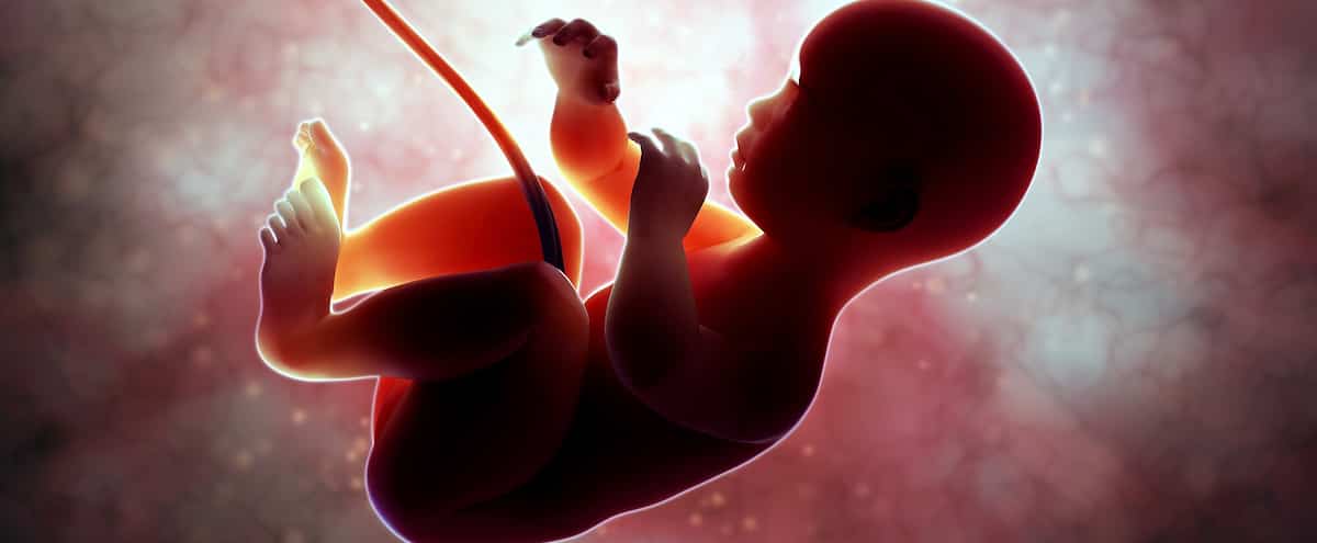 L’alcool nuit au fœtus dès la première semaine de grossesse, selon une étude