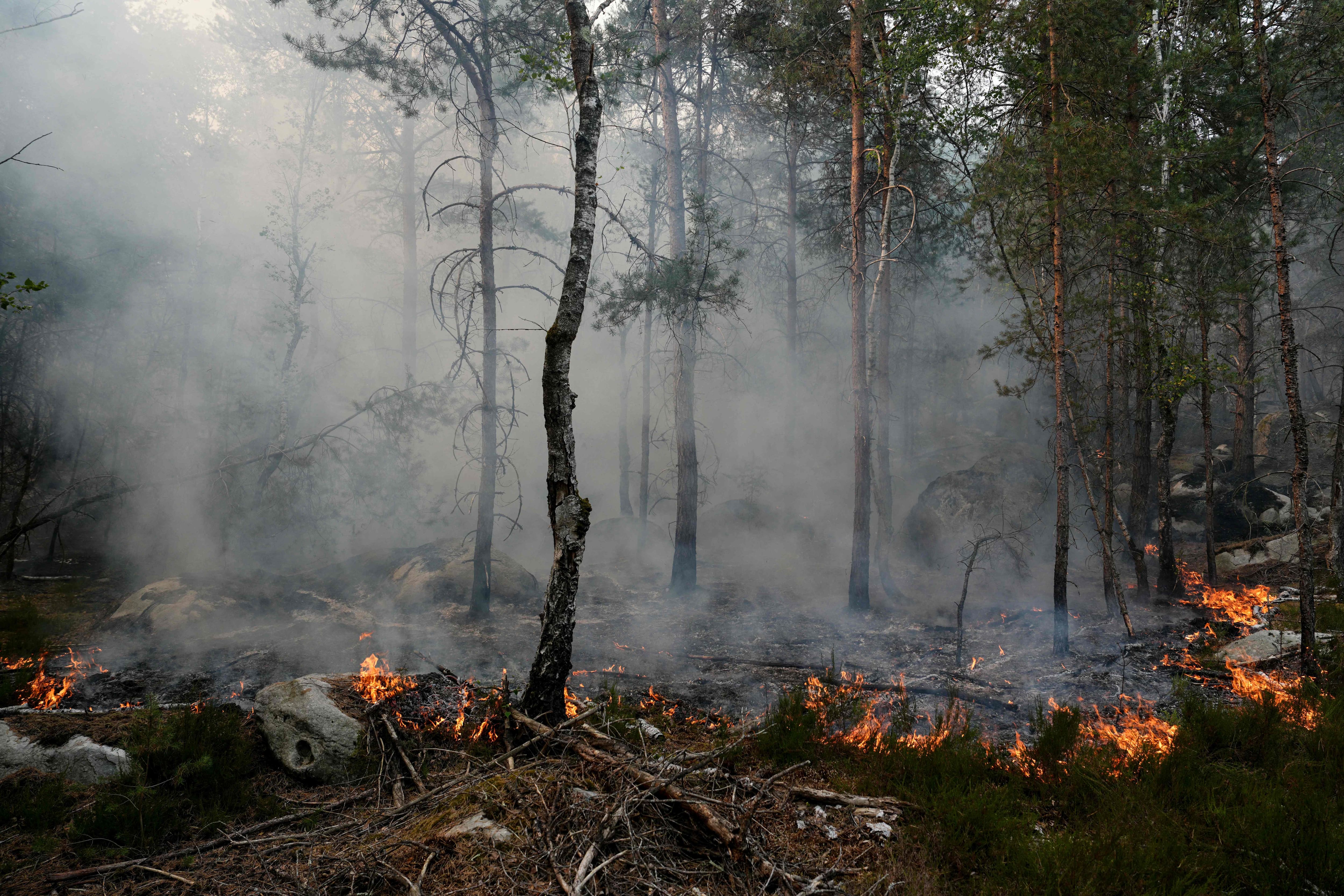 France: new arrest of a suspect in the Fontainebleau Forest fire