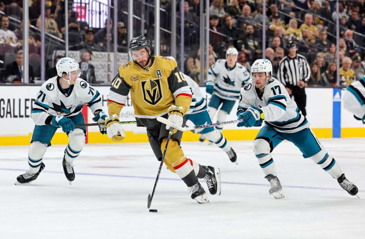 Lnh Voici les 46 joueurs du Québec qui évoluent dans la LNH | JDQ