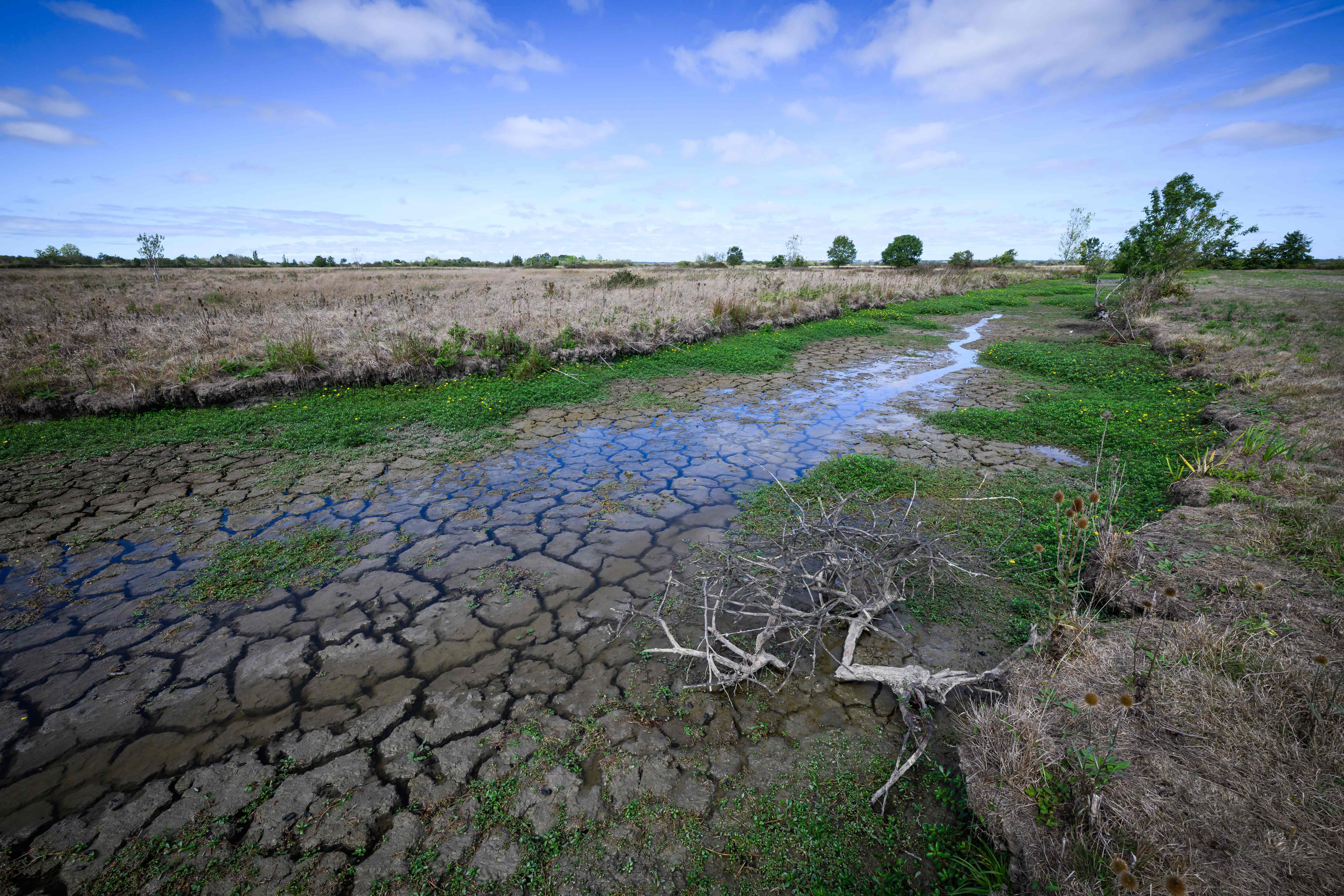 Le cycle de l'eau est devenu «plus irrégulier et imprévisible», selon l'ONU