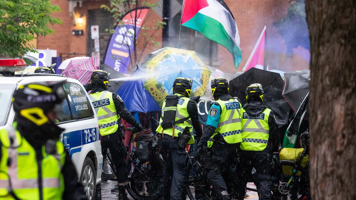 Tensions à McGill: l’Université condamne la violence des manifestants