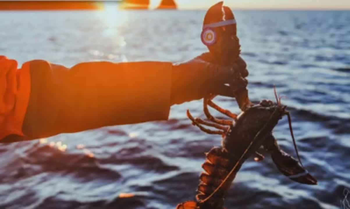 La pêche au homard en Gaspésie commence lundi!