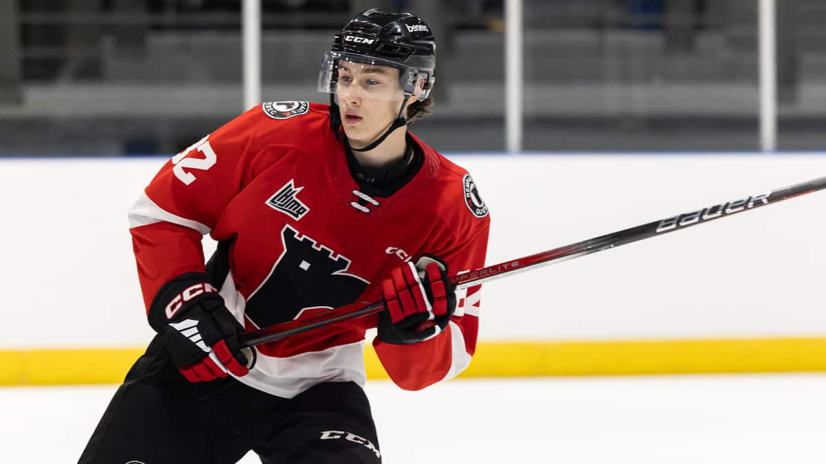 Mêlée Générale Entre Le Phoenix Et Les Remparts: Quatre Joueurs Sus...