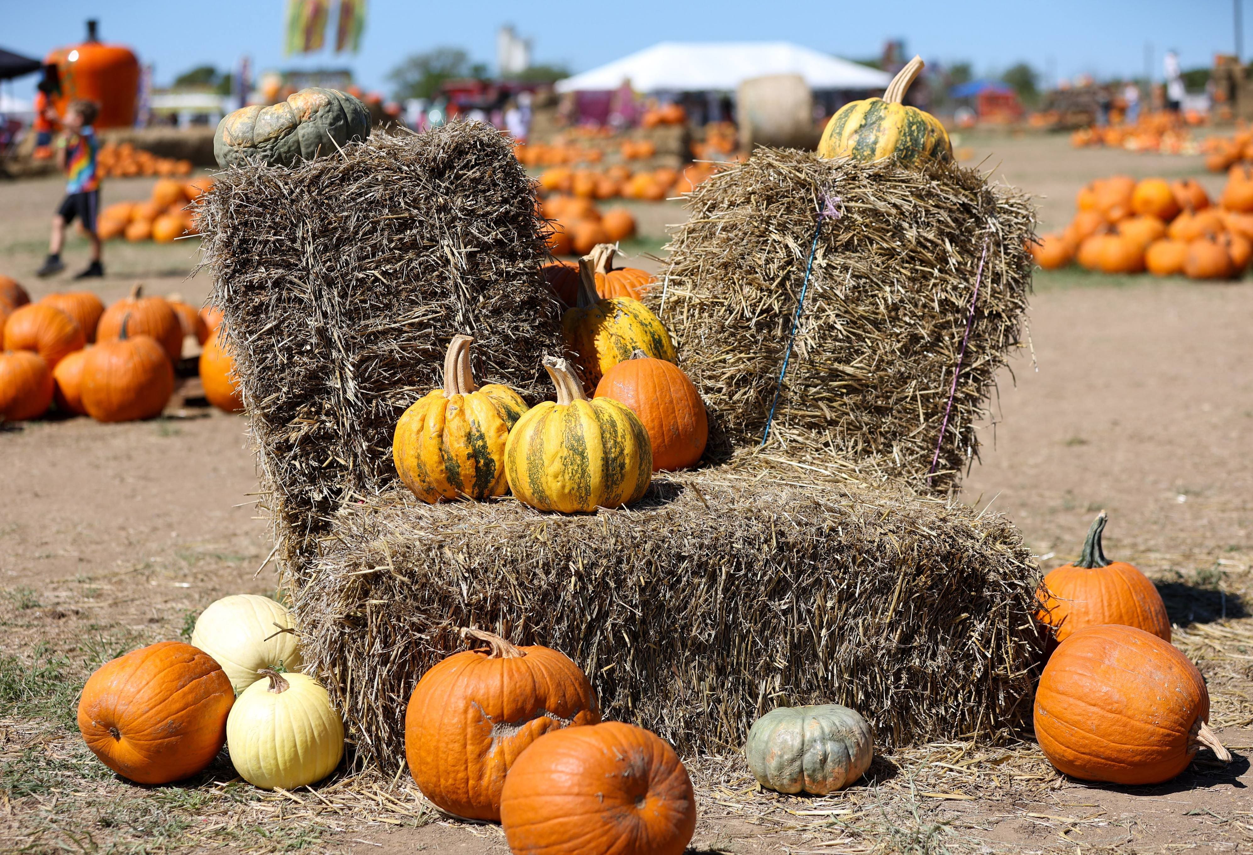 Quoi faire à Montréal pendant la fin de semaine du 16 au 18 octobre