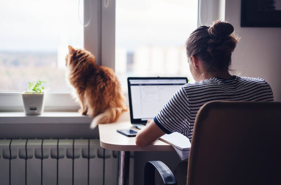 Image principale de l'article Un 1er site d’emploi pour le télétravail au Québec
